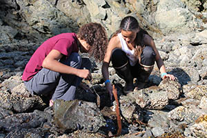 Students look for lingering Exxon Valdez oil during in 2016. Photo courtesy of Alaska Geographic.
