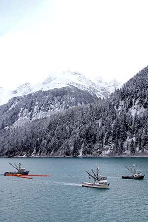 Three fishing vessels practice working with oil spill boom. The “current buster” system is in picture-perfect formation.