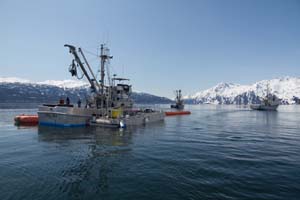 Three boats are shown here in a typical oil recovery formation during the Valdez training. The farthest pictured vessels are pulling the buster system forward. The outstretched legs of the buster collect the oil and direct it into the collection area. The closest vessel manages the skimmer and the transfer of product into the mini barge, tied alongside. Photo by Jeremy Robida.
