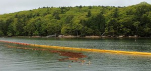 Wood chips and oranges are sometimes used to simulate oil on water. These oil simulants help train oil spill responders.