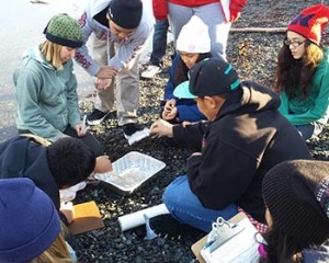 Katie Gavenus (green hat at left) updated the Alaska Oil Spill Curriculum in 2014. Here, she shows Whittier students how oiled water affects bird feathers. Photo by Lisa Matlock.