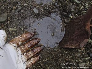 Lessons from Exxon Valdez oil spill
