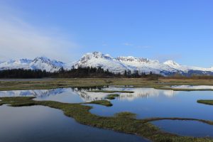 Photo of the Valdez Duck Flats.