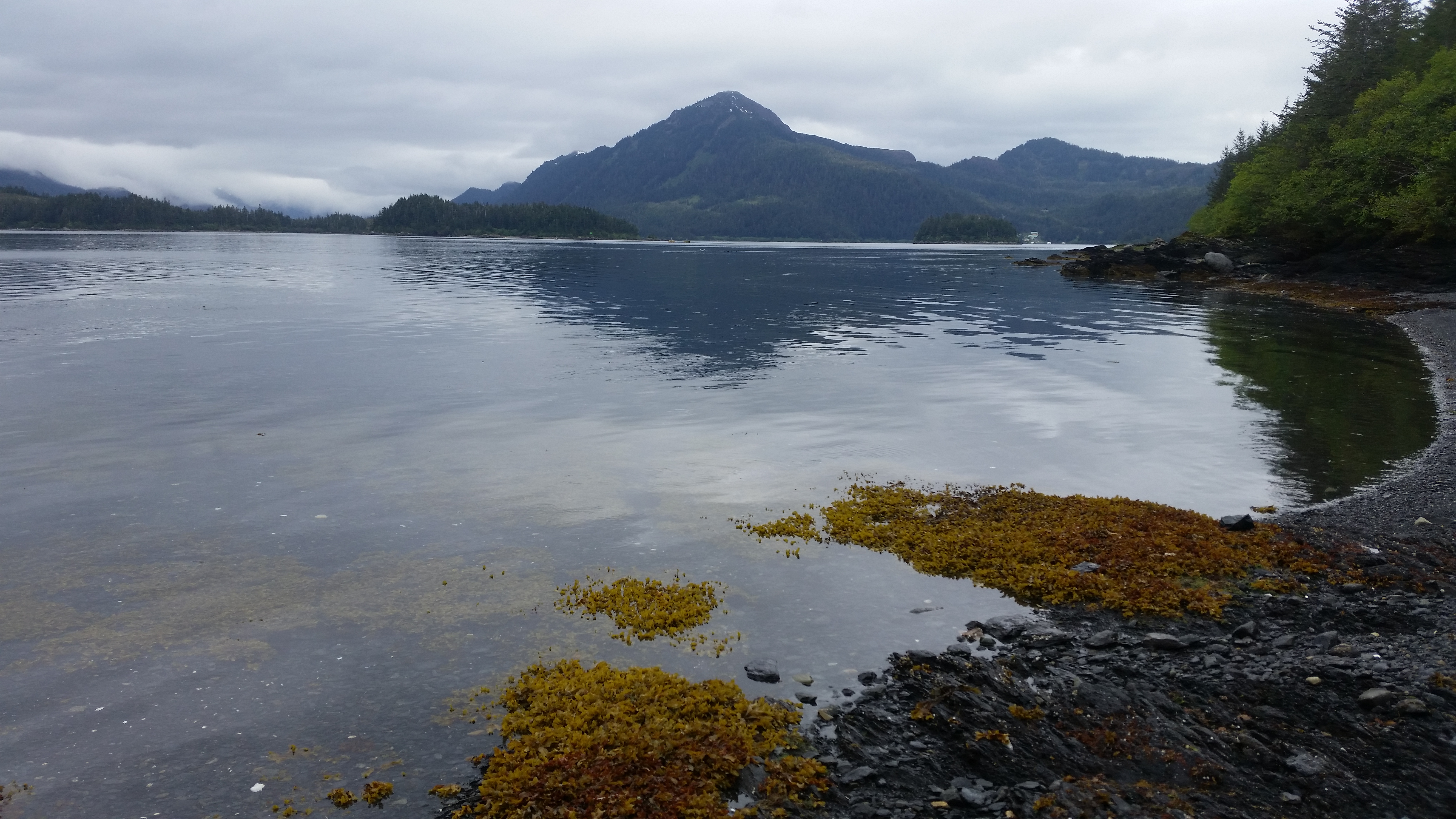 Photo of Chenega Bay.