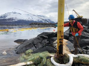 Photo shows Council staff member collecting water samples near the spill site.