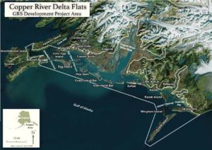 A satellite image map of the delta and flats, showing a maze of islands, river channels, and shallow waters that would complicate an oil spill response.