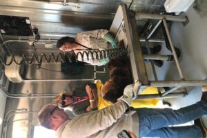 Three people surround a metal table in a shiny new facility with modern equipment. One of the three is directing the other two on otter cleaning techniques. The "otter" on the table is a stuffed toy.