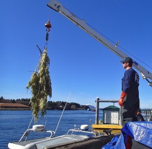 Davin Holen: Social scientist uses knowledge of subsistence fisheries to help communities adapt to changing environments