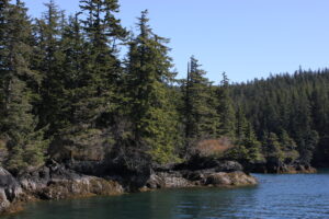 Trees and rocky coastline of Prince William Sound.