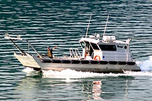 Colin Daugherty: An unlikely Alaskan helps protect Prince William Sound