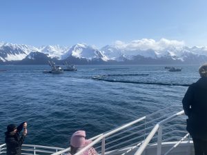 Seward community members observing vessels pulling oil spill boom. 