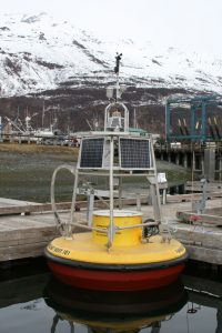 Photo of VMT Buoy in Valdez harbor