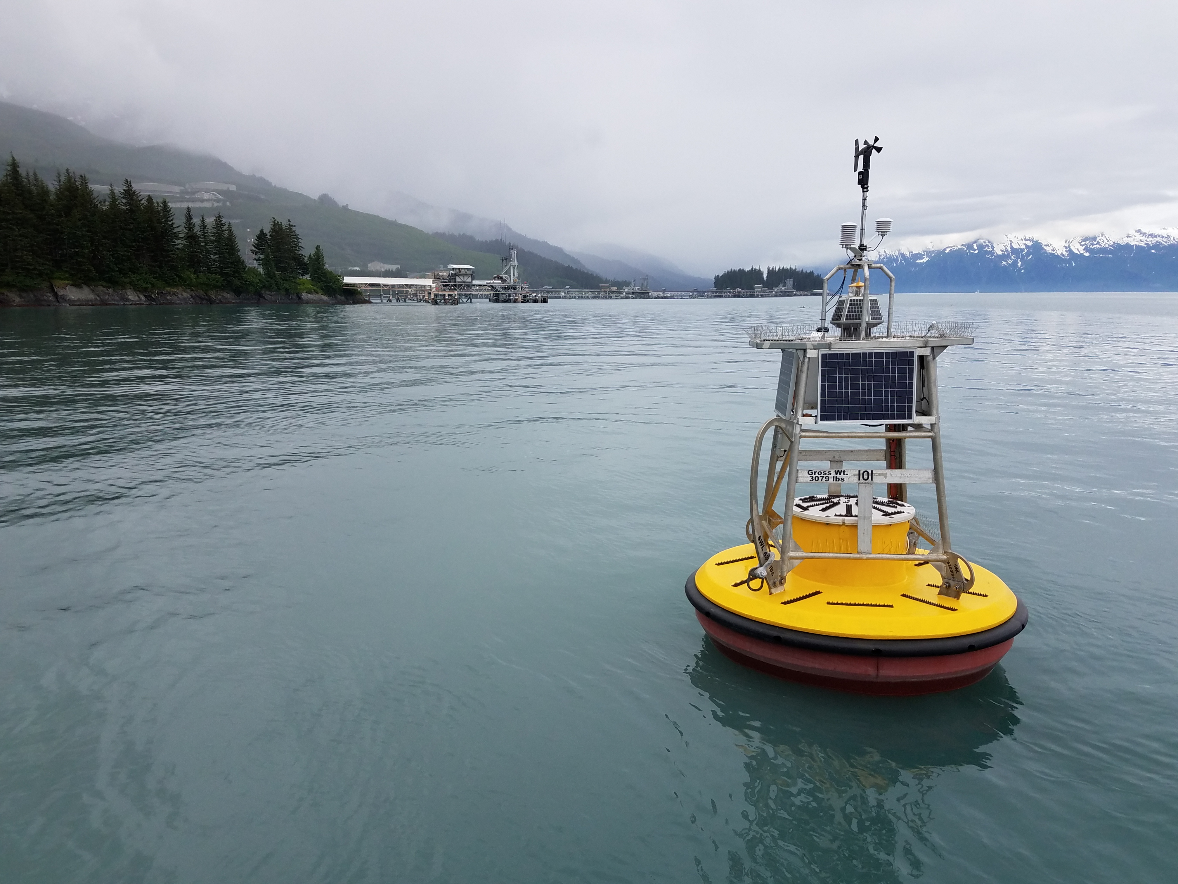 Photo of new buoy deployed in 2019.