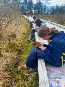 Several students sit on a boardwalk above wetlands. They are writing and drawing observations about their surroundings in their journals. 
