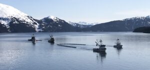 Two fishing vessels pull boom behind them. Each boat is attached to one end of the boom so that when they move forward, the boom forms a curve. In this first image, the boats are parallel with each other so that the boom is in the shape of the letter U.
